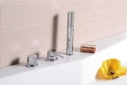 Sapho Brausen - Handbrause, Verchromt SK190 -Hansgrohe Shop 09fc3d0c0ef43083f73cb493